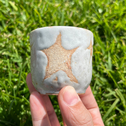 Starry Sake Cup