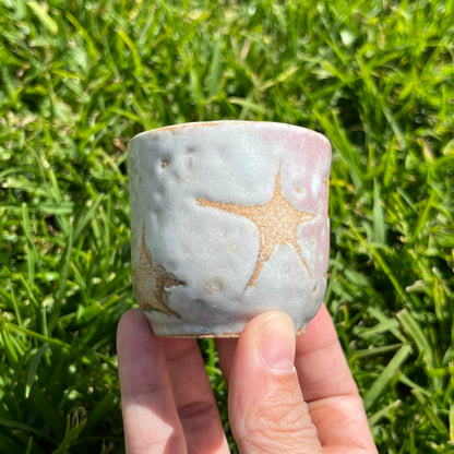 Starry Sake Cup